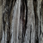 Black Rag Bow