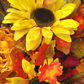 Fall Grapevine Wall Basket with Sunflowers, Fall Foliage, Fall Wall Decor, fall decor home decor Rustic Fall Wall Hanger, Fall Decor