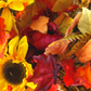 Fall Grapevine Wall Basket with Sunflowers, Fall Foliage, Fall Wall Decor, fall decor home decor Rustic Fall Wall Hanger, Fall Decor