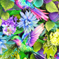 Hummingbird Wreath