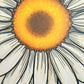 Large Daisy Door Hanger