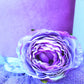 Lavender Ballerina Wreath Attachment